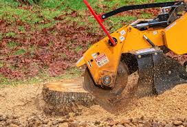 How Our Tree Care Process Works  in  Pittston, PA
